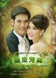 2013泰劇 名門紳士之緣定芳林/緣定芳林/名門紳士五部曲之緣定芳林 泰語中字 盒裝6碟