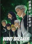 2024日劇 防風少年/防風鈴/WIND BREAKER 內田雄馬 日語中字 盒裝2碟