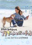 2015日本電影 草裙舞女孩與愛犬可可 瀧本美織 日語中字