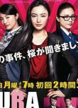 2014刑事推理劇DVD：SAKURA傾聽案件的女人【仲間由紀恵】2碟