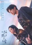 2025大陸劇 吃飯跑步和戀愛/拜金羅曼史【TV全集+幕後花絮】 陳飛宇/莊達菲 高清盒裝5碟
