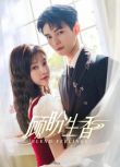 2025大陸劇《顧盼生香》何昶希/張楚寒 國語中字 盒裝2碟
