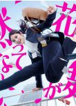2024日劇 花咲舞無法沉默/花咲舞無法沉默 續集 今田美櫻/山本耕史 日語中字 盒裝2碟