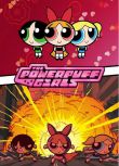 1998歐美動畫 飛天小女警/The Powerpuff Girls/CN原創之飛天小女警 第1-6季 英語中字 盒裝13碟