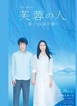 2014日劇 芙蓉之人：富士山頂之妻 松下奈緒 日語中字 盒裝2碟