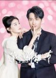 2025大陸劇《董小姐每天都過情人節》姚銳/孫芊潯 國語中字 盒裝2碟