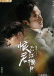 2021大陸劇 恨君不似江樓月 茅子俊/易柏辰 高清盒裝4碟