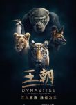 2018記錄片【王朝 Dynasties 】【英語中字】清晰2碟