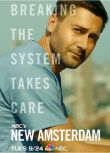 2019美劇 醫院革命/新阿姆斯特丹/New Amsterdam 第二季 英語中字 盒裝4碟