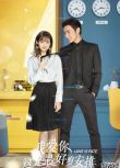大陸劇 我愛你，這是最好的安排 DVD 張彬彬/鄭合惠子 【高清盒裝】9片