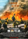 2018災難冒險催淚 無路可退 勇往直前 又名 烈焰雄心 高清DVD9盒裝國英雙語