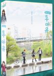 韓劇《你是誰 - 學校2015》金所泫/南柱赫 國語/韓語 高清盒裝11碟
