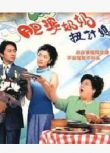 2001港劇 肥婆奶奶扭計媳 向海嵐/江華 國語中字 盒裝4碟