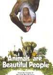 1974高分南非電影 可愛的動物/美好的人民/Animals Are Beautiful People 歷蘇 英語中字 盒裝1碟