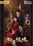 2025大陸劇《相愛恨晚》潘毅鴻/安思逾 國語中字 盒裝2碟