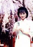 台劇 【京華煙雲】【國語中字】【趙雅芝 趙家蓉】7碟　
