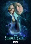 2025美劇《兇宅處理專員/SurrealEstate 第三季》蒂姆·羅尊/薩拉·萊維 俄語中字 盒裝2碟