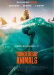 2025澳大利亞電影 危險動物/鯊人魔/鯊膽殺人狂/Dangerous Animals 英語中字 盒裝1碟