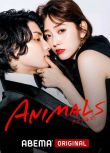 2022日劇 ANIMALS 鈴木愛理/白洲迅 日語中字 2碟