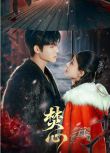2025大陸劇《焚心/夜迷人》代高政/何適 國語中字 盒裝2碟