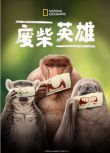 2025美國紀錄片《廢柴英雄/失敗者/弱勢者》瑞安·雷諾茲 英語中字 盒裝1碟