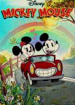 2013高分美國動畫 米奇歡樂多/Mickey Mouse/米老鼠2013 第1-5季 英語中字 盒裝5碟