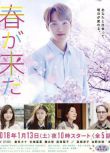 2018日劇 春天來了 倉科加奈 日語中字 盒裝1碟