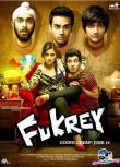 2013印度電影 弗克利 Fukrey 普及特·薩馬拉特 印度語中字