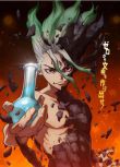 2020壹月新番 新石紀 Dr.STONE 1-24話全 DVD 2碟