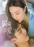 2023大陸劇《偏偏寵愛》王皓軒/宋美娜 國語中字 2碟